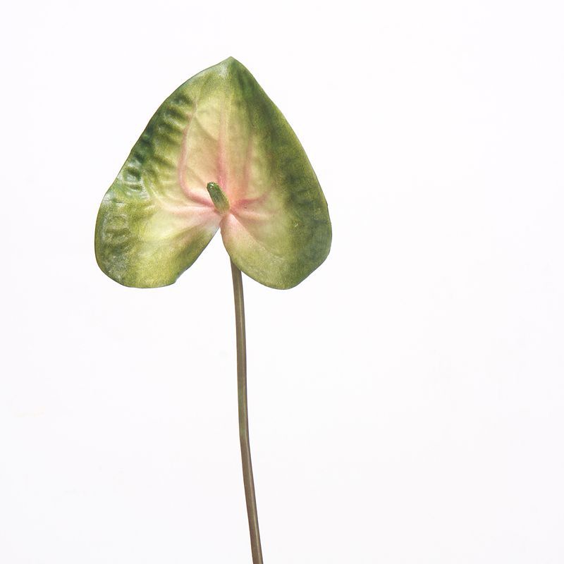Verde polvo