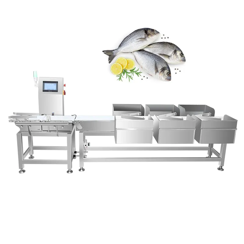 Nueva máquina de clasificación de peso innovadora, clasificador de clasificación de tipo controladora de peso para línea de procesamiento de filetes de pescado y camarones