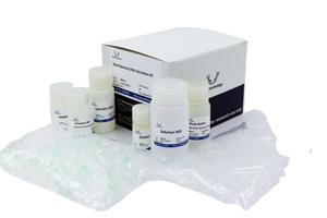 İnsan Telomere uzunluk ölçümü QPCR test kiti (göreceli), araştırma kullanımı için yüksek kalite - Product Image 5