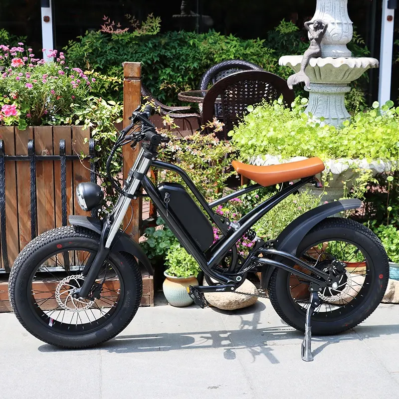 Avrupa depo 20 inç süper güç 48V 500W 750W 1000W Ebike yağ lastik Retro Vintage şehir kir elektrikli bisiklet bisikleti 73