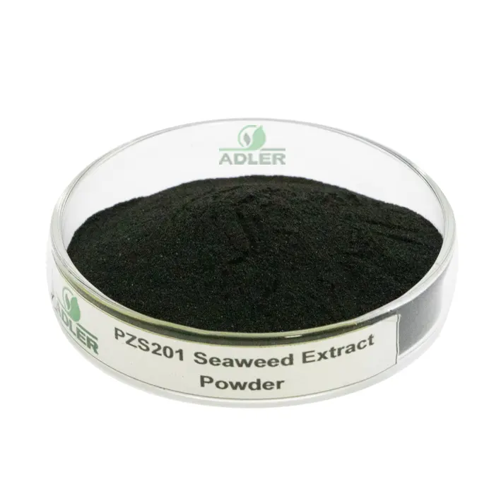 Black Micro-granular Powder Fertilizer pH-Adjusting Organic Granular Fertilizer for Plants at Home
