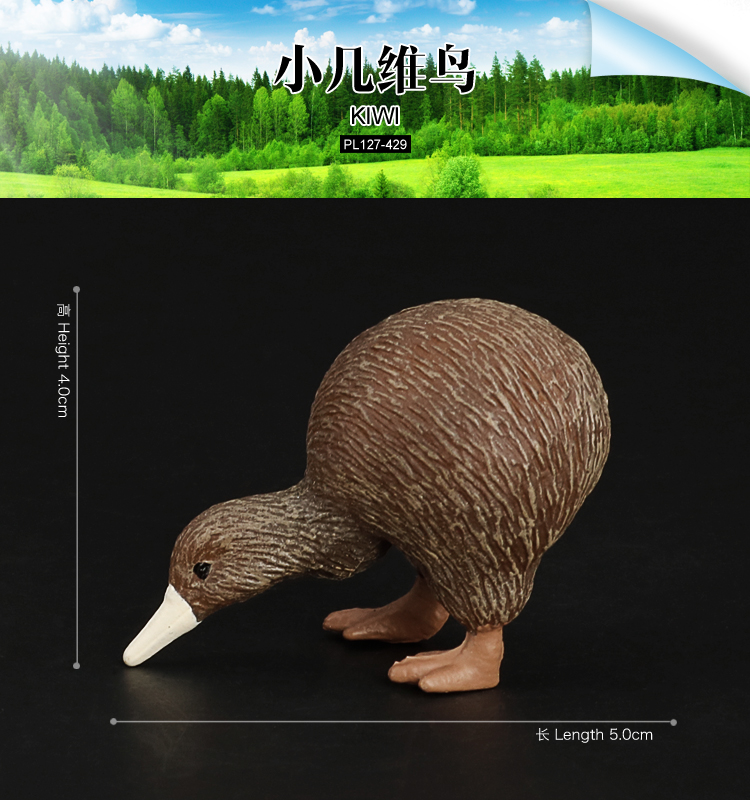 429 Oiseau Kiwi