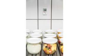 Testo 174T迷你温度数据记录仪0572 1560室内温度记录仪 - Product Image 3