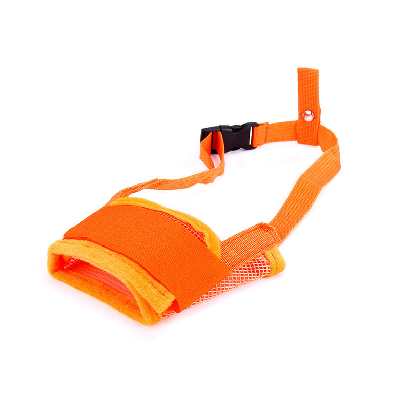 orange color