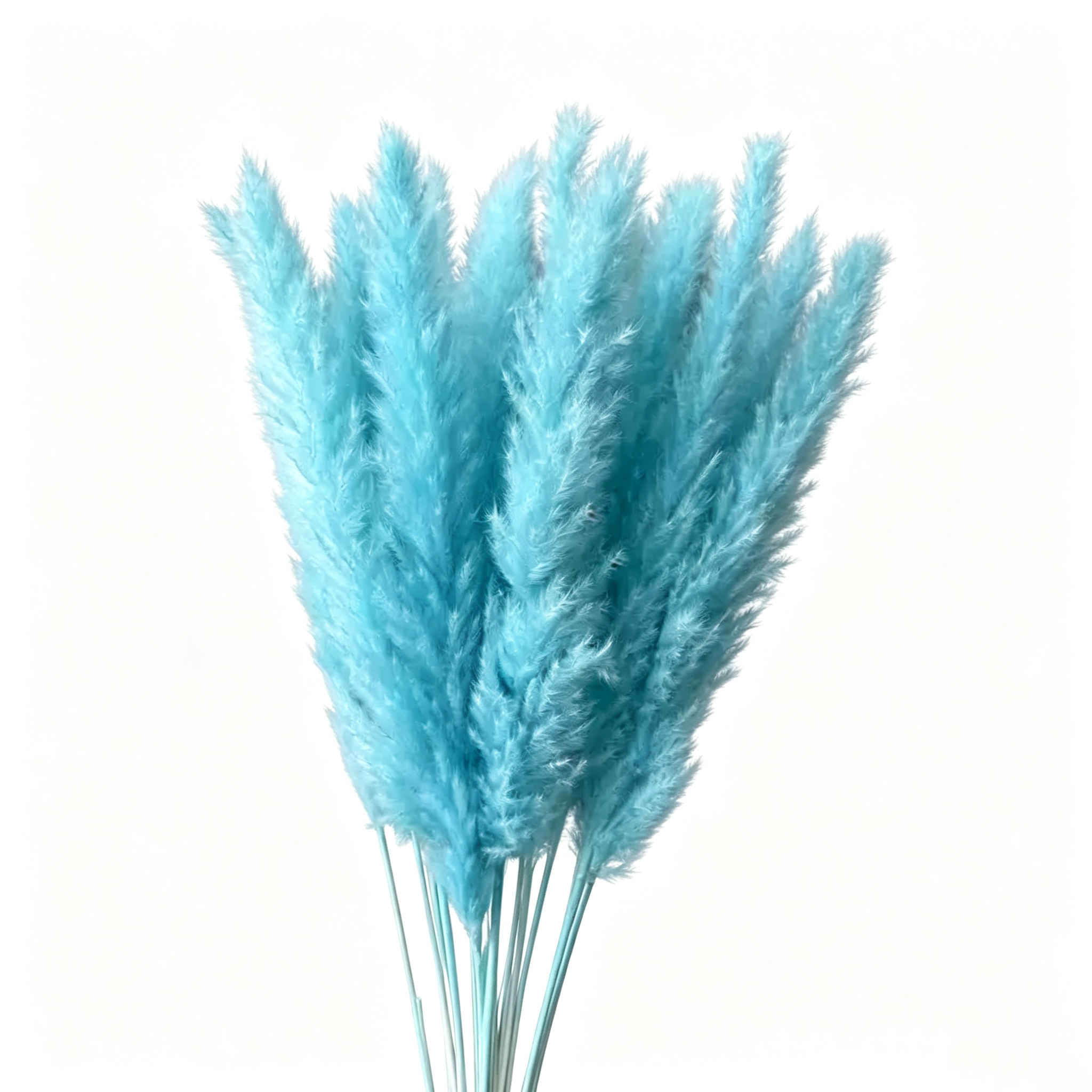 Bleu clair