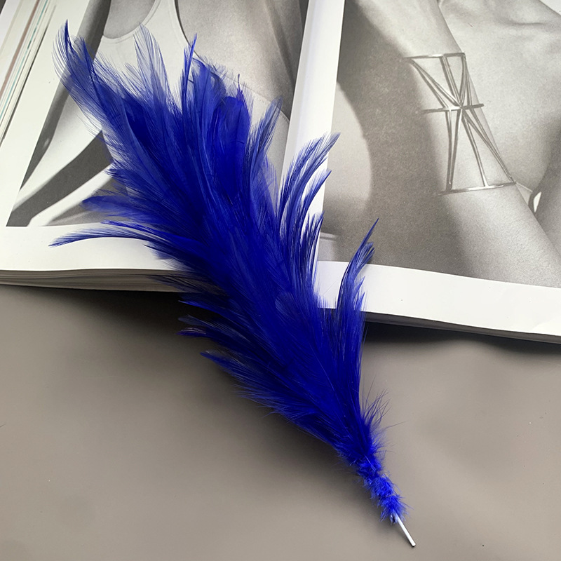 36 bleu royal-pas de plumes noires