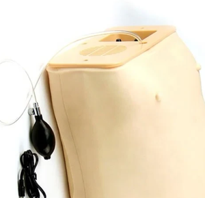 Modelo de simulación de examen de embarazo computarizado avanzado DARHMMY para entrenamiento médico de obstetricia y ginecología - Product Image 6