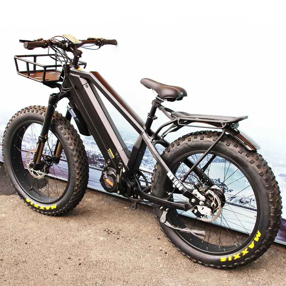 Vélo électrique Rohloff à moyeu 14 vitesses vélo électrique tout-terrain à gros pneus MID Drive Dirt Ebike 1000W vélo de chasse électrique avec deux batteries