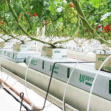 UPuper農業温室自動ドリップシステム園芸ユニスラボロックウール水耕スラブ