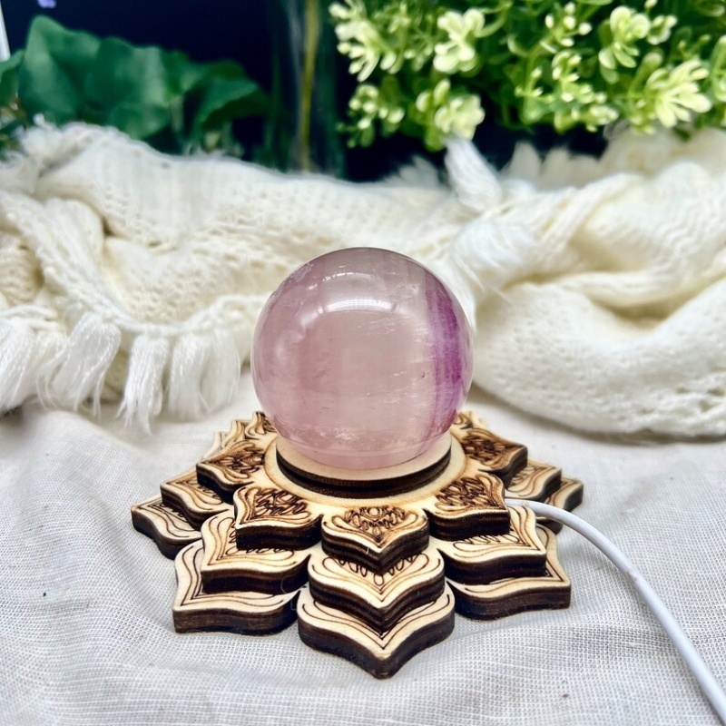 Base de lotus