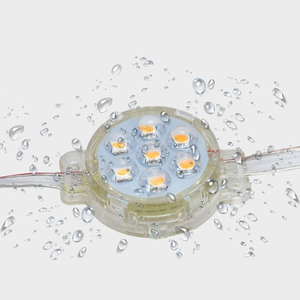 <strong>Led</strong> <strong>Pixel</strong> Module DC 12V 24V 1W/1.4W/2W <strong>RGB</strong> WS2811 <strong>DMX</strong>-12mm 30mm 40mm 50mm IP68 Full Color Decor <strong>Led</strong> <strong>Pixel</strong> Module Point String