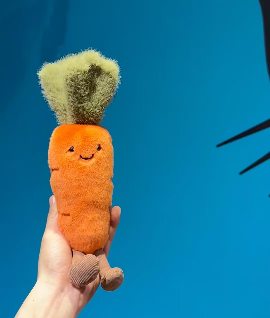 carrot