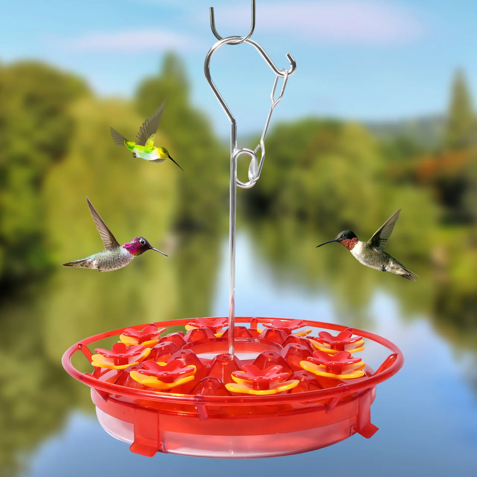 Vassoio per mangiatoia per colibrì staccabile mangiatoia per uccelli selvatici da appendere all'aperto con gancio mangiatoia per uccelli rossi da giardino
