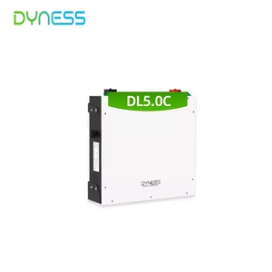 Dyness太阳能系统DL5.0C 5KWH 51.2V 100AH支持住宅和小型商业应用的1C放电率 - Product Image 1