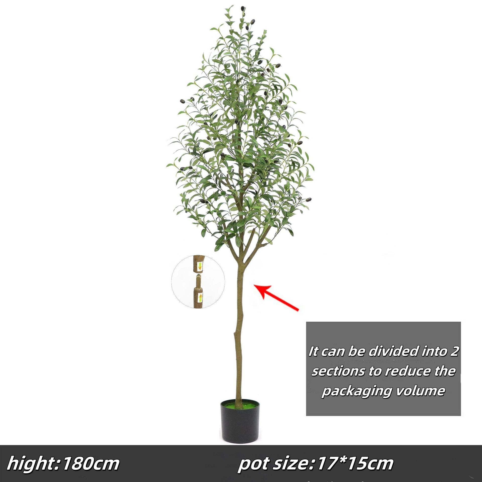 180cm olive tree, type b