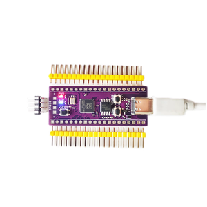 Ahududu Pi Pico kurulu rprp2 MB 4MB 8MB 16MB destek Micropython /C/C + + CircuitPython