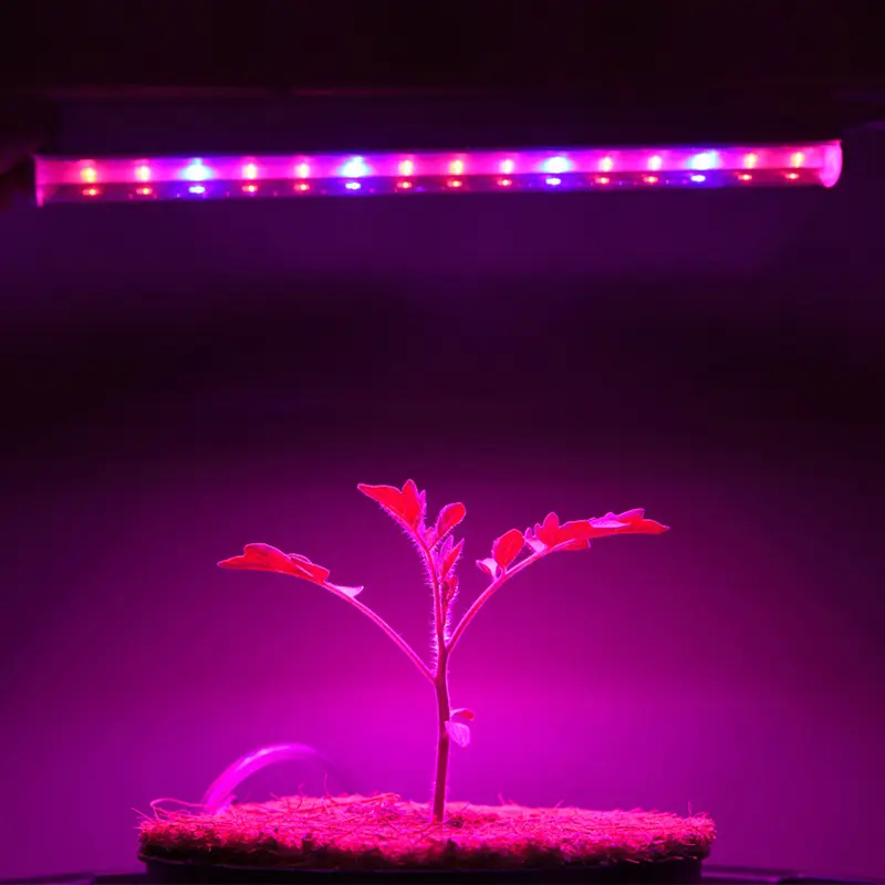 T5 LED Full Spectrum coltiva tubo di luce per uso domestico e fattorie verticali-promuove la crescita delle piante piantina fiore e IR UV colore rosso bianco