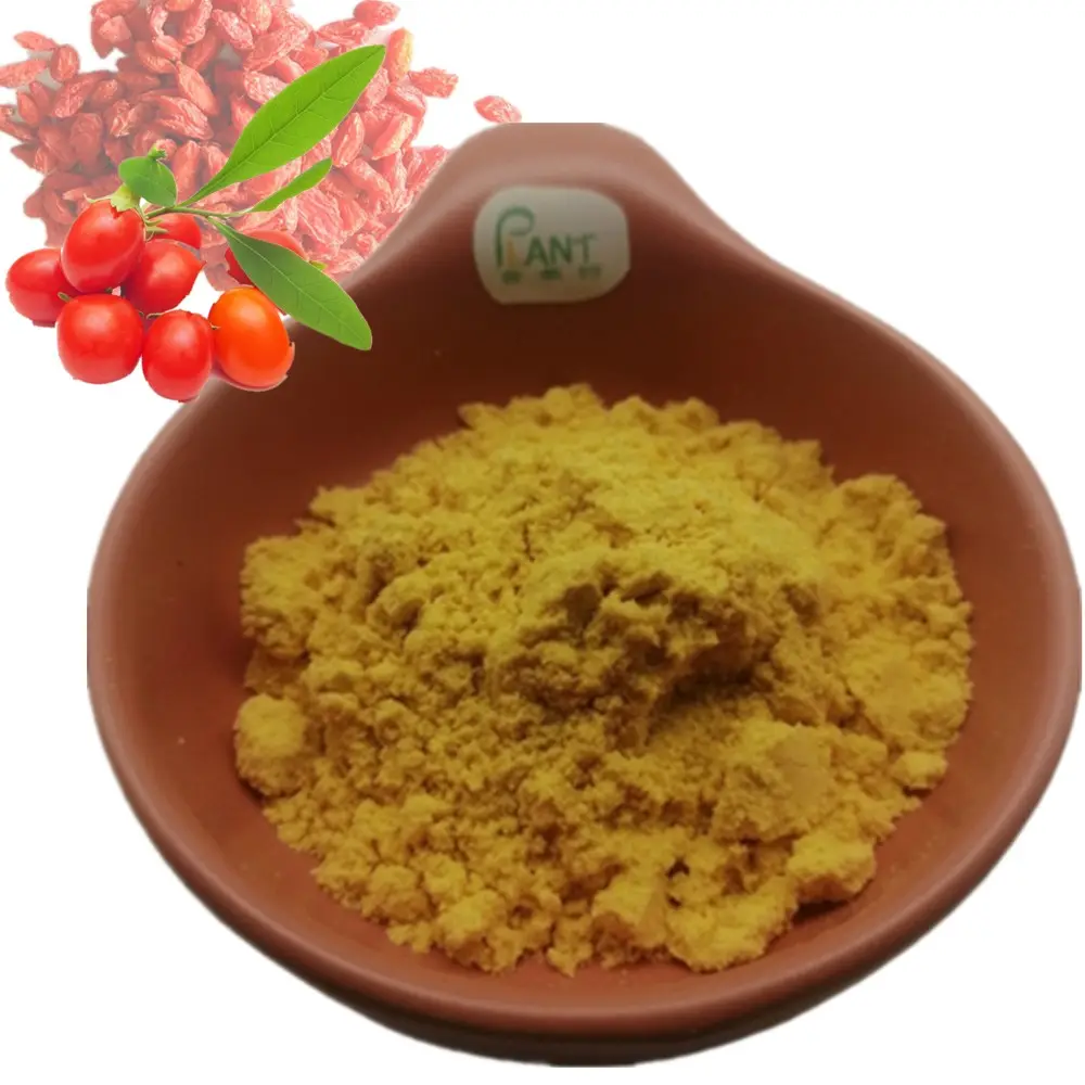 Poudre de Goji d'approvisionnement d'usine Wolfberry chinois Goji poudre lyophilisée poudre de Wolfberry