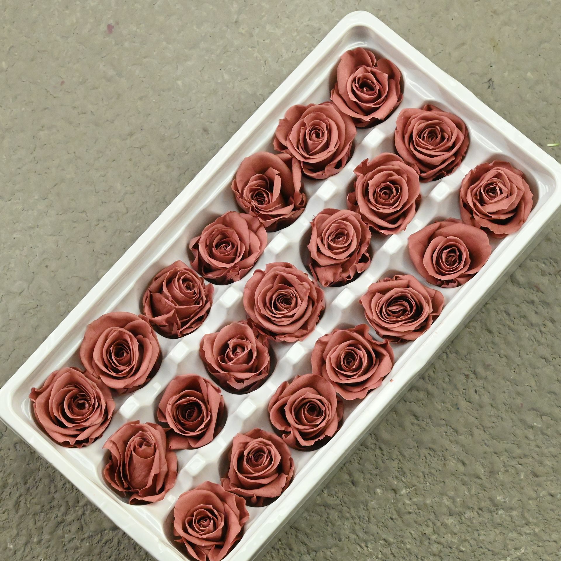 B rose 2-3 caramel-21
