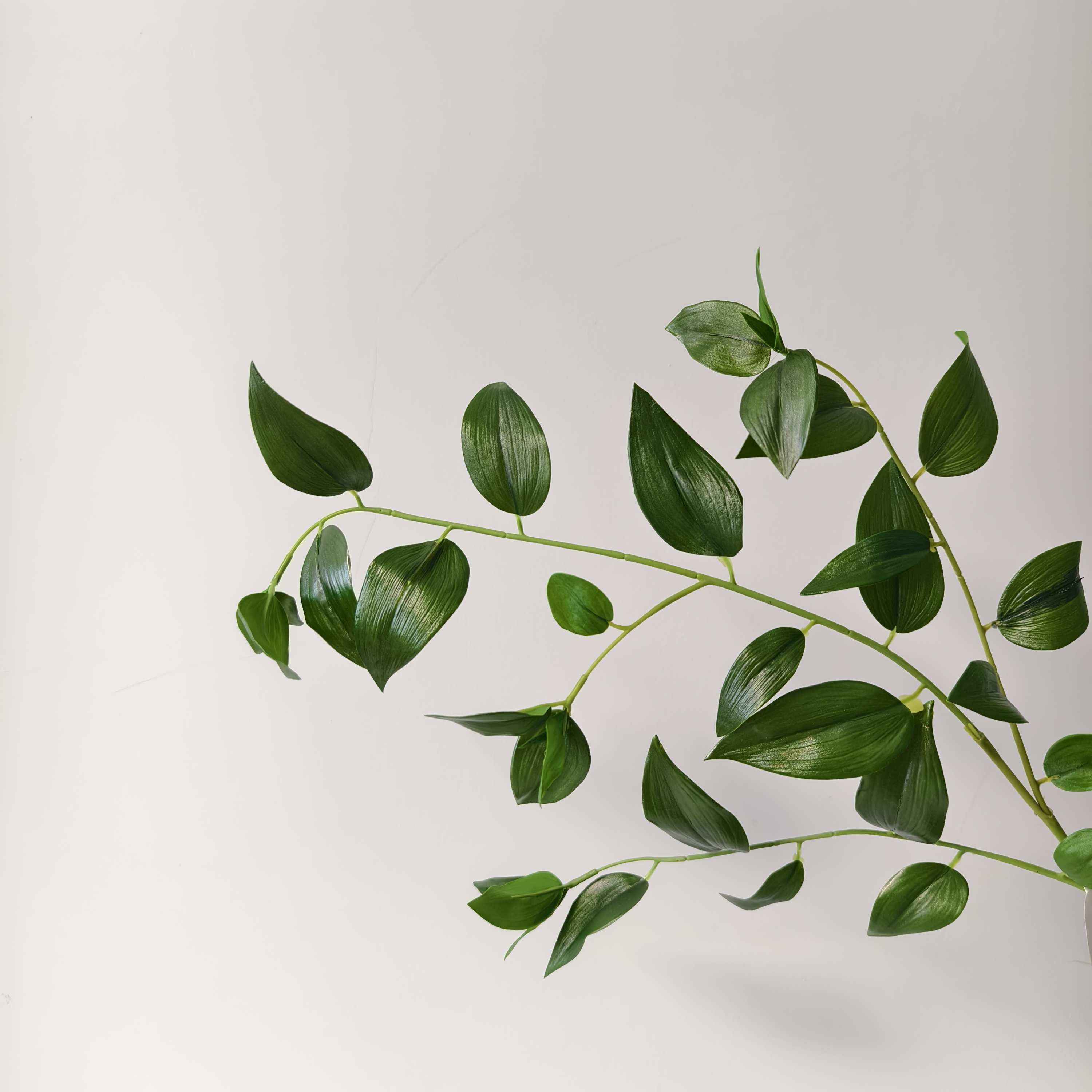 Verde oscuro
