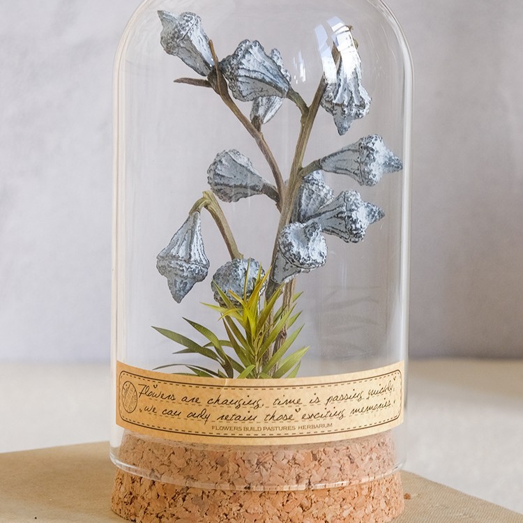 Eucalyptus (small) 7cm*13cm