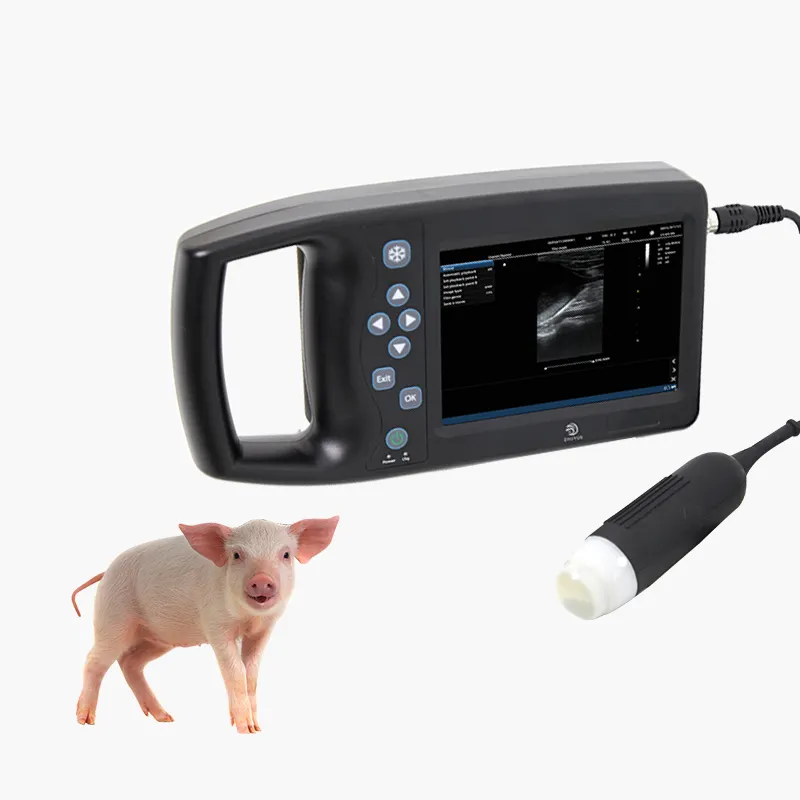 Vet Ultrasound Ultrasound portátil veterinária máquina preço