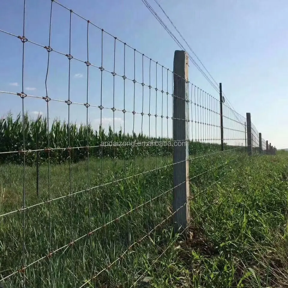 Cercado de alambre de cerdo galvanizado al mejor precio, campo de pastizales, Animal, cabra, oveja, ciervo, cerca de ganado en la granja