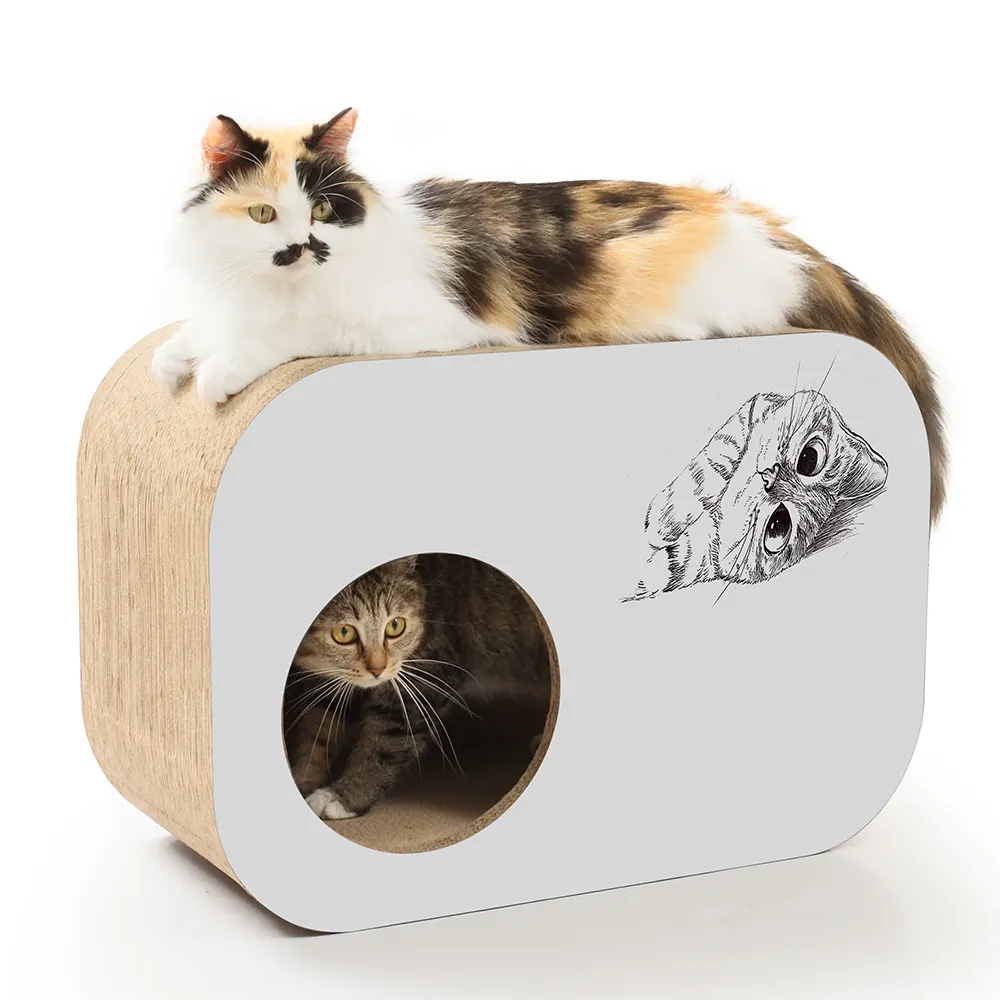 Stylist Tùy Chỉnh Hình Chữ Nhật Mạnh Mẽ Tông Mèo Nhà Mèo Scratcher