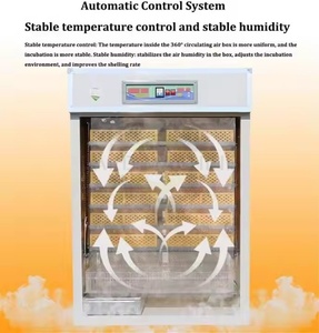 Cao Tự Động Gia Cầm Trứng Lồng Ấp Cho Trang Chủ Sử Dụng Cho Hatcheries Trang Trại Gà Chim Chim Quail Vịt - Product Image 4