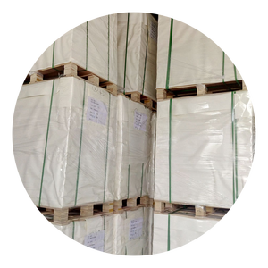 Fabrika fiyat ofset baskı için tek kullanımlık kağıt bardak hammadde karton kahve fincanı PE kaplamalı kağıt levha - Product Image 6