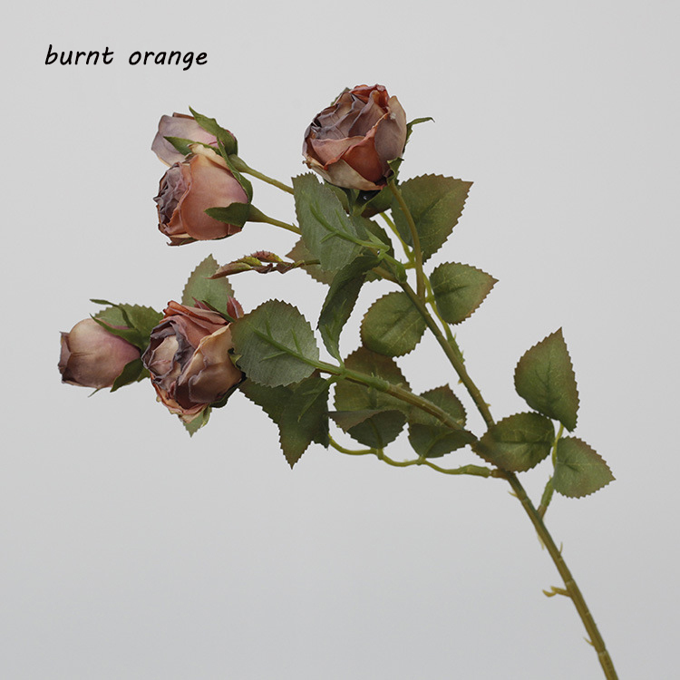 #6 oranges brûlées