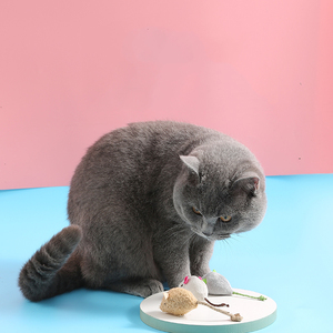 Ratón de peluche con hierba gatera para mascotas, juguete interactivo para gatos - Product Image 1