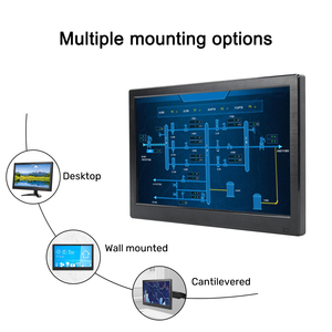 Small Size LCD <strong>Monitor</strong> Full View with VGA USB AV HDMI Interface High Brightness for Industrial Applications 11.6 Inch <strong>Monitor</strong>