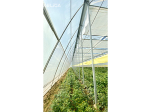 Hệ thống nhà kính thương mại đa nhịp Pro-sawtooth tiên tiến - Product Image 5