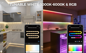 ไฟเส้น Led อัจฉริยะ RGBCW,ไฟหรี่แสงได้ควบคุมด้วยแอป Tuya Wifi ไฟเย็นอบอุ่นทำงานกับ Alexa Google - Product Image 4