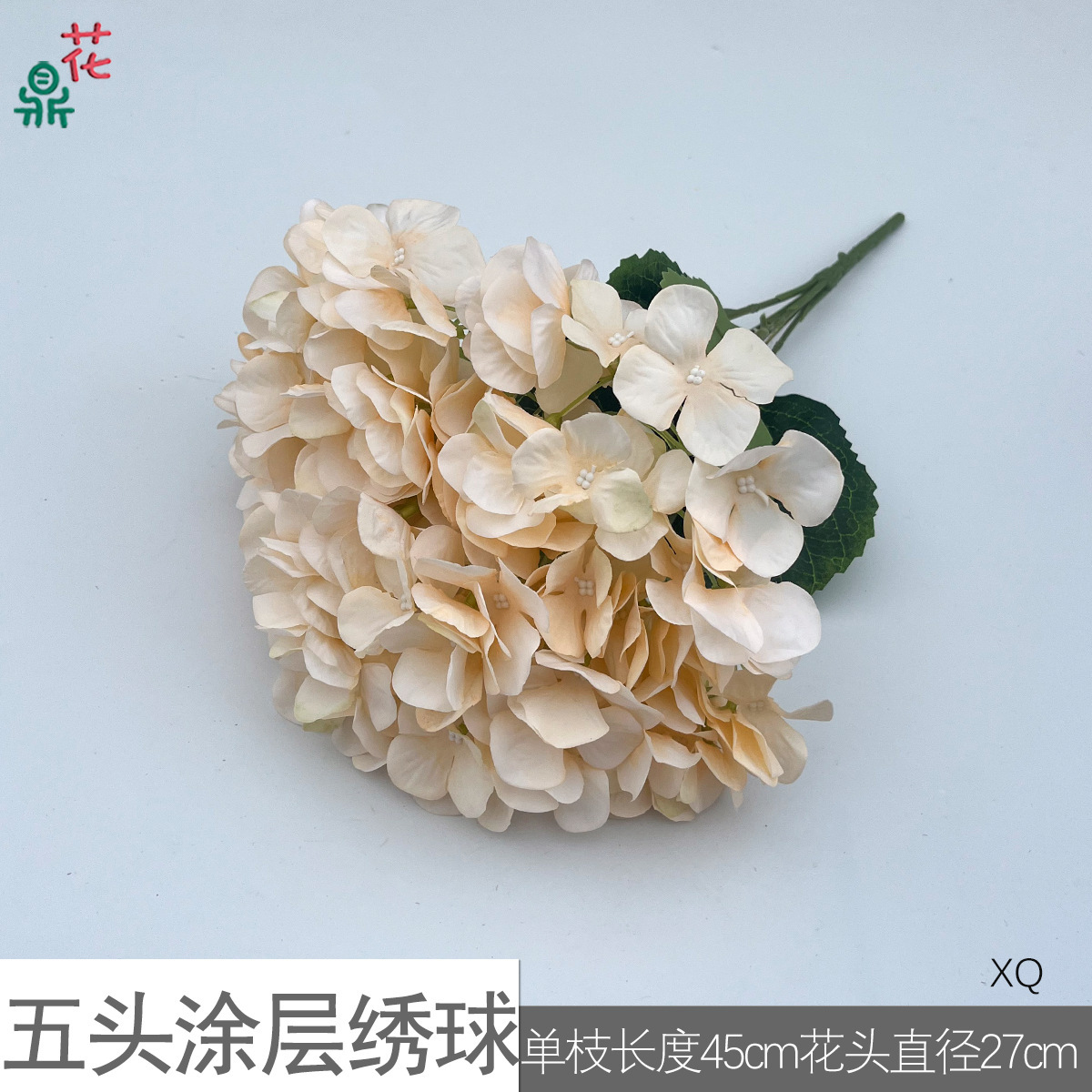 Hortensia XQ champagne à cinq couches de revêtement