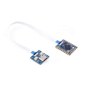 Ahududu Pi rprpçift çekirdekli bölünmüş USB arayüzü çift çekirdekli geliştirme devre kartı modülü kiti
