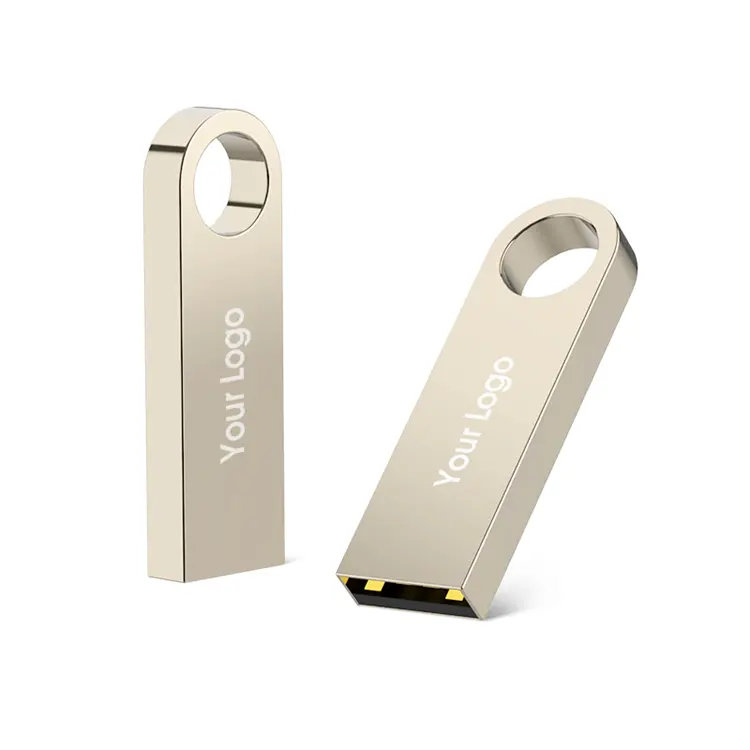 Chiavetta USB 8GB/16GB/32GB/64GB/128GB del bastone del metallo di logo su ordinazione di promozione della cina