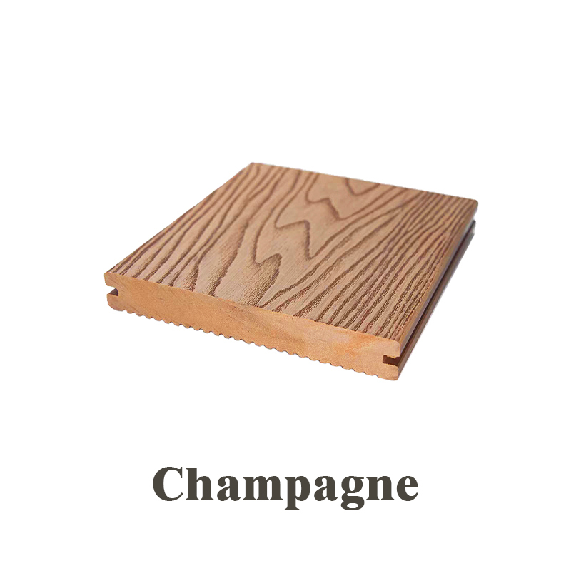 Échantillon de champagne 15 cm