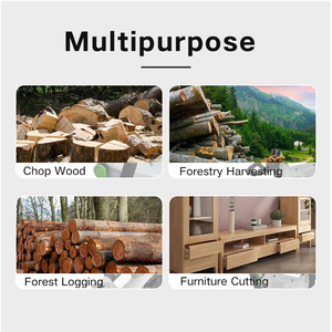 16 אינץ 'שרשרת אלחוטי ראה סוללה נטענת צ' רסר סוללה נטענת עבור גינה עובד יעילות גבוהה - Product Image 5