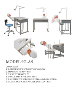 Simulador dental escuela estudiantes universitarios Sistema de práctica de entrenamiento modelo fantasma con modelos de dientes - Product Image 2