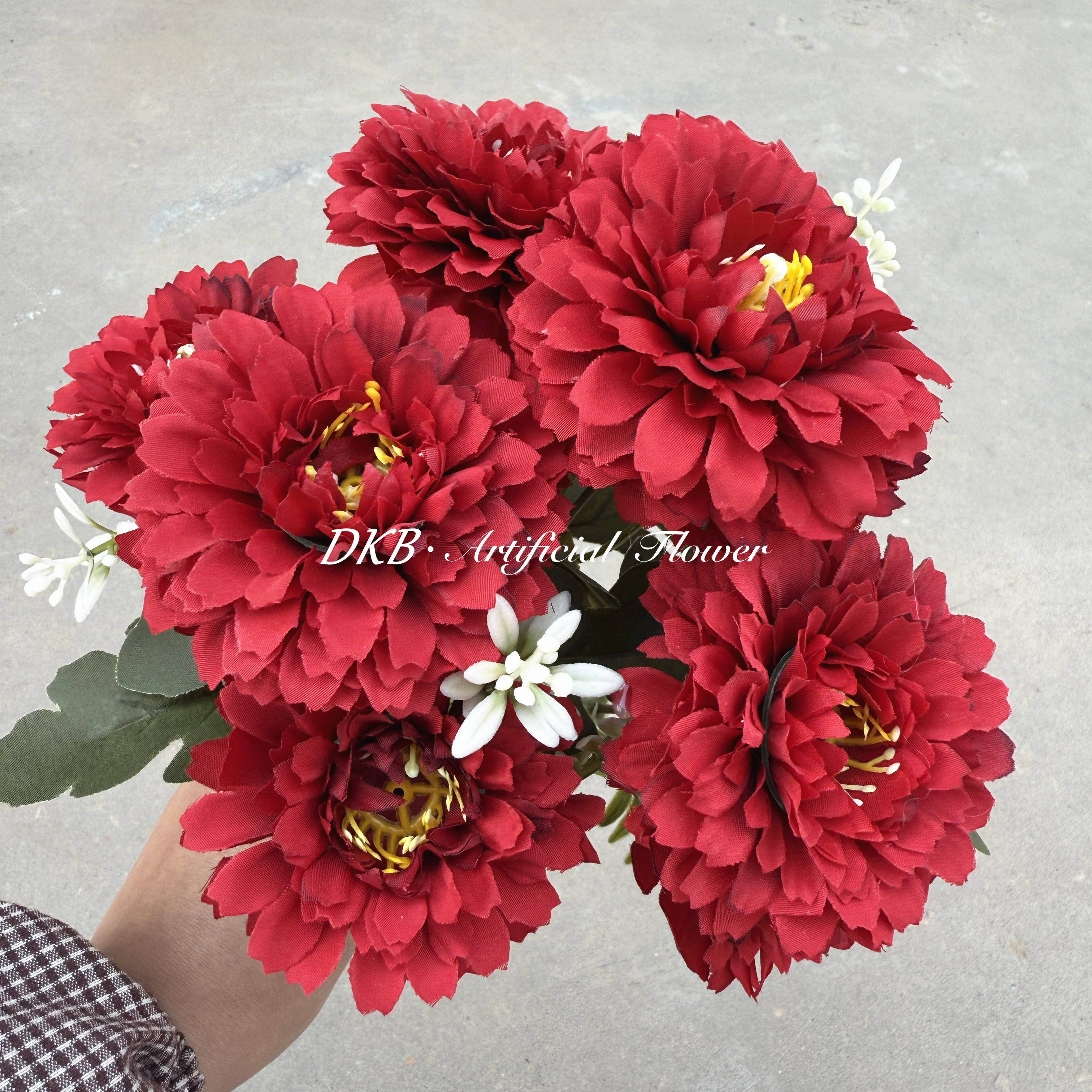 GCXH009-12