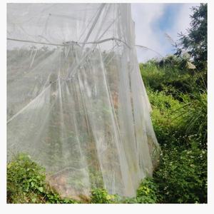 High Quality Anti-Insect <strong>Nets</strong> Best Price Greenhouse Mosquito <strong>Net</strong> with Pest Protection Custom Cutting Processing Service - Product Image 1