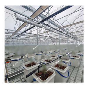 Nông Nghiệp Nhà Kính thủy canh bảng Grow Rack EBB và dòng chảy cán nhà máy phát triển lũ lăn bảng với khay - Product Image 6