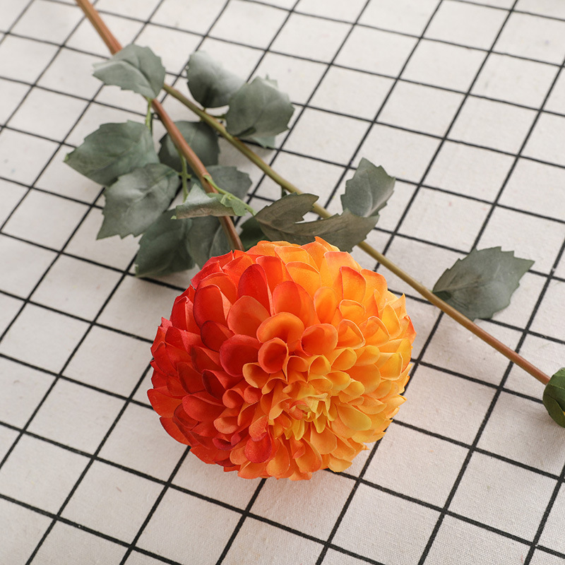 #4 orange