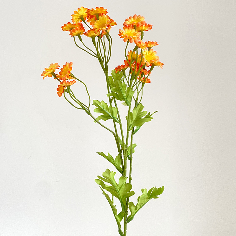 Arancione