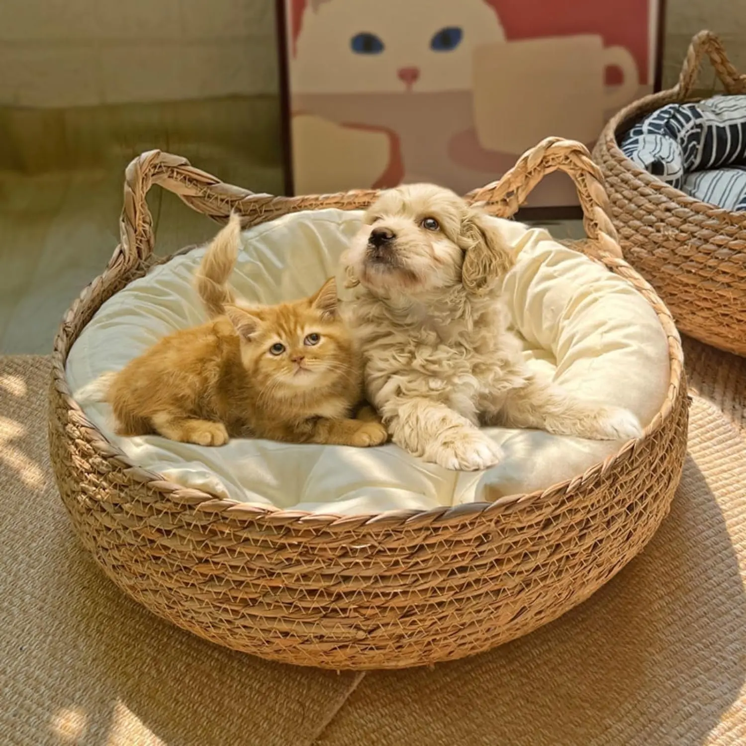 Scratcher gatto tessuto letto in rattan cesto per cani e gatti fatti a mano naturale