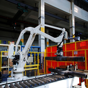 Robot industriale manipolatore braccio robotico automatizzato Cnc cella di carico e scarico Robot per l'automazione dell'officina