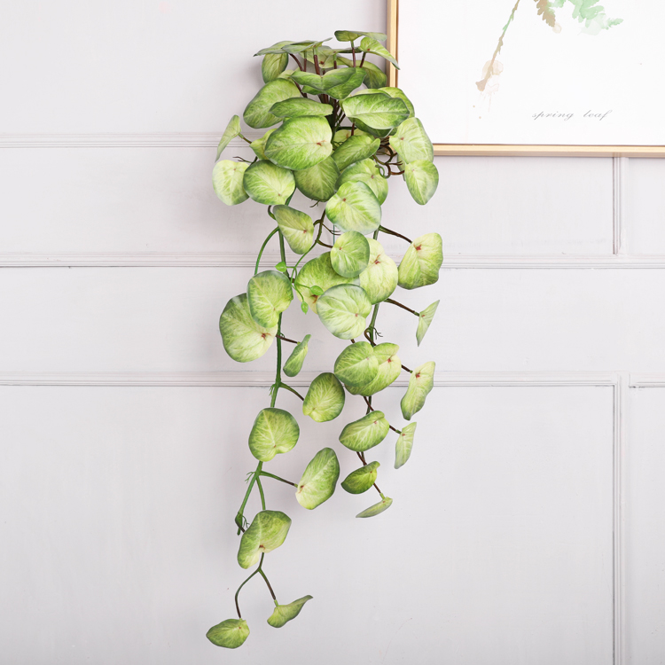 1(90cm)