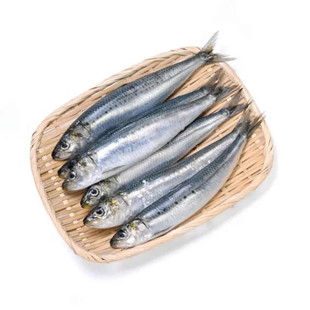 Precio congelado sardina pescado importador a granel BQF China al por mayor congelado sardinas pescado